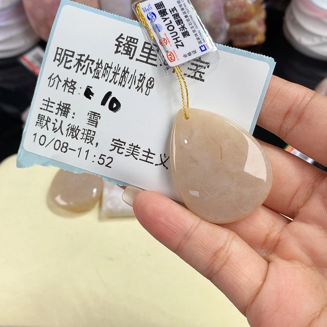 捡****硅化珊瑚（珊瑚玉）未镶嵌吊坠(赠链)
