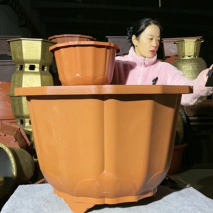 莲花盆红色四零六个