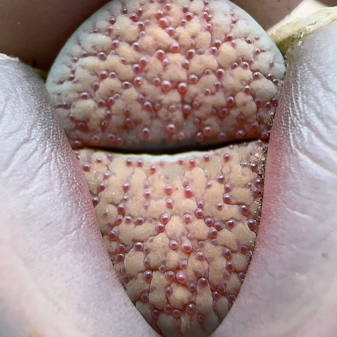 179福利福利福利