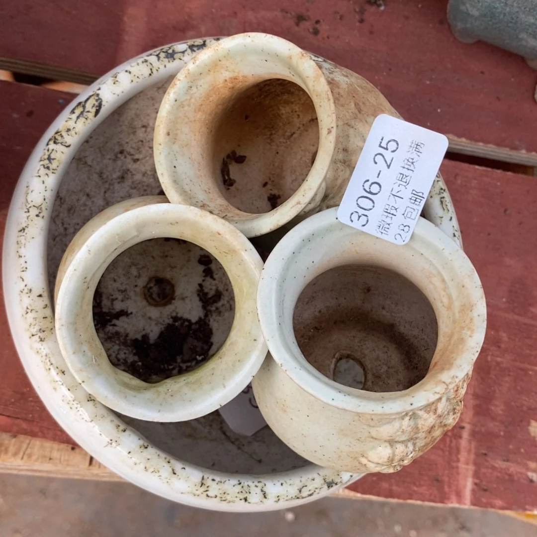 红陶用****025号多肉盆三个
