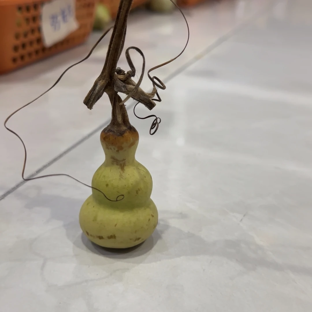 青皮不包成青皮不包成