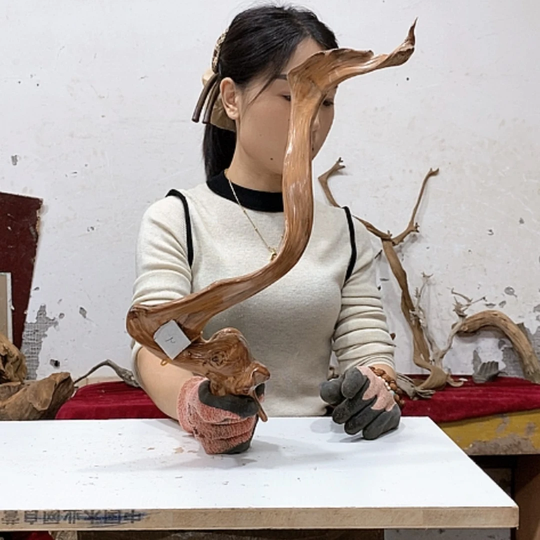 【闪购商品】柏木清*我们都是好孩子