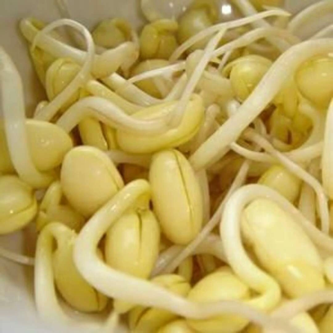 黄豆芽（500克）