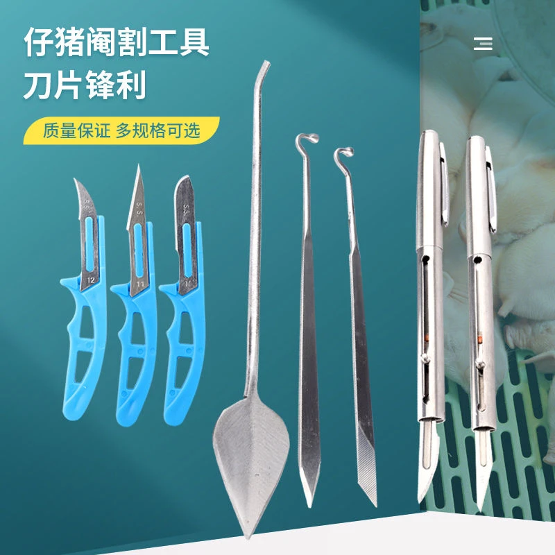 兽用阉割刀笔式小猪去势手术刀迷你猪用不锈钢敲猪阉猪工具煽猪刀