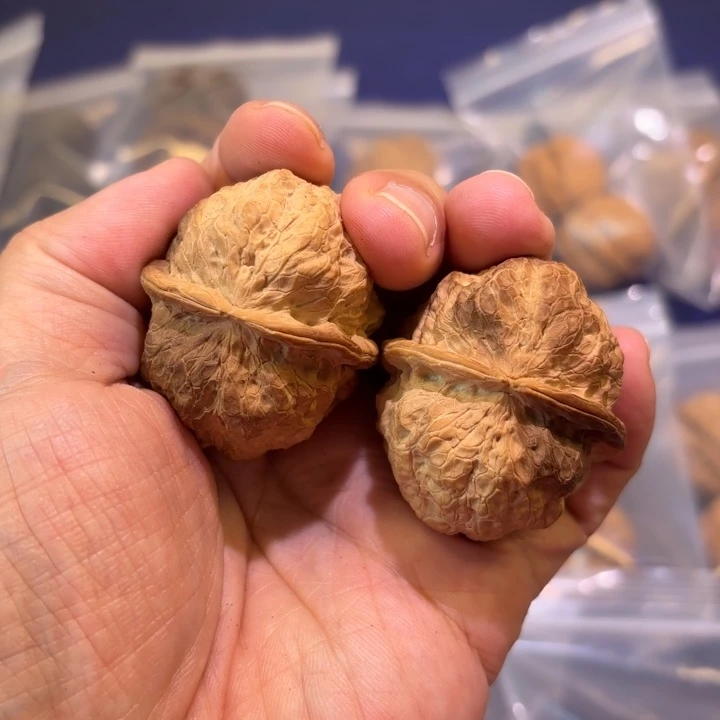 文玩核桃吊坠乾坤金蟾