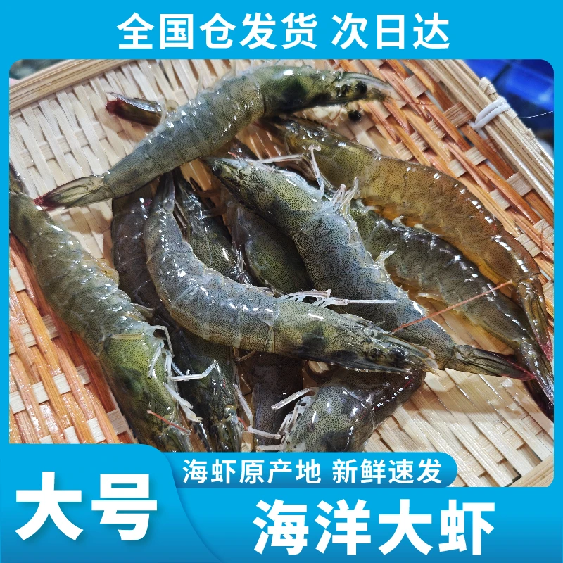 【顺丰次日达C】新鲜上岸 大号海洋大虾 4斤/盒 含保护冰锁鲜精品