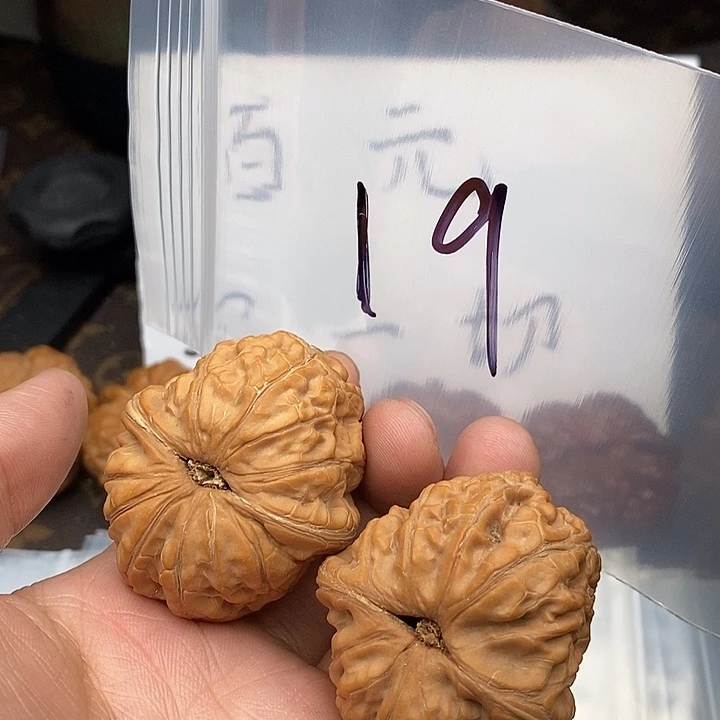 吊坠文玩核桃753573537537573753753