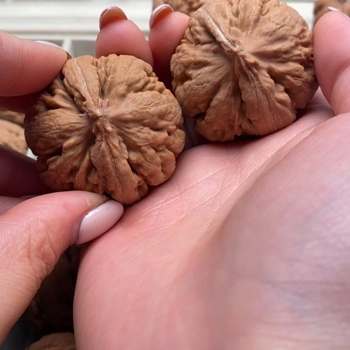 王***连霸王龙全品无修一刀没动