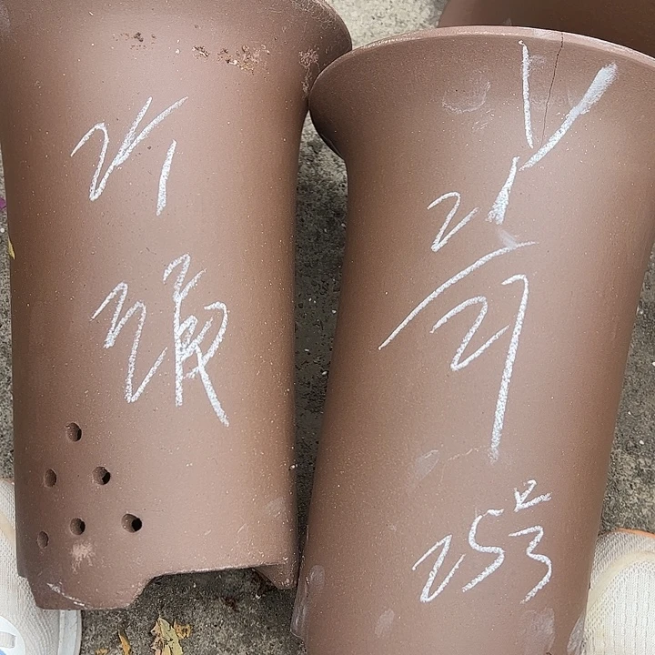 25…………………………………………