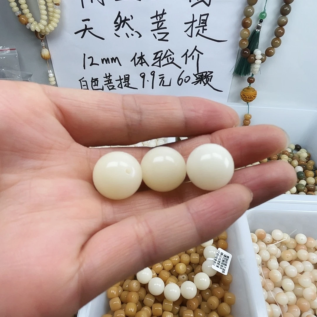 ****～手串菩提根/象牙果