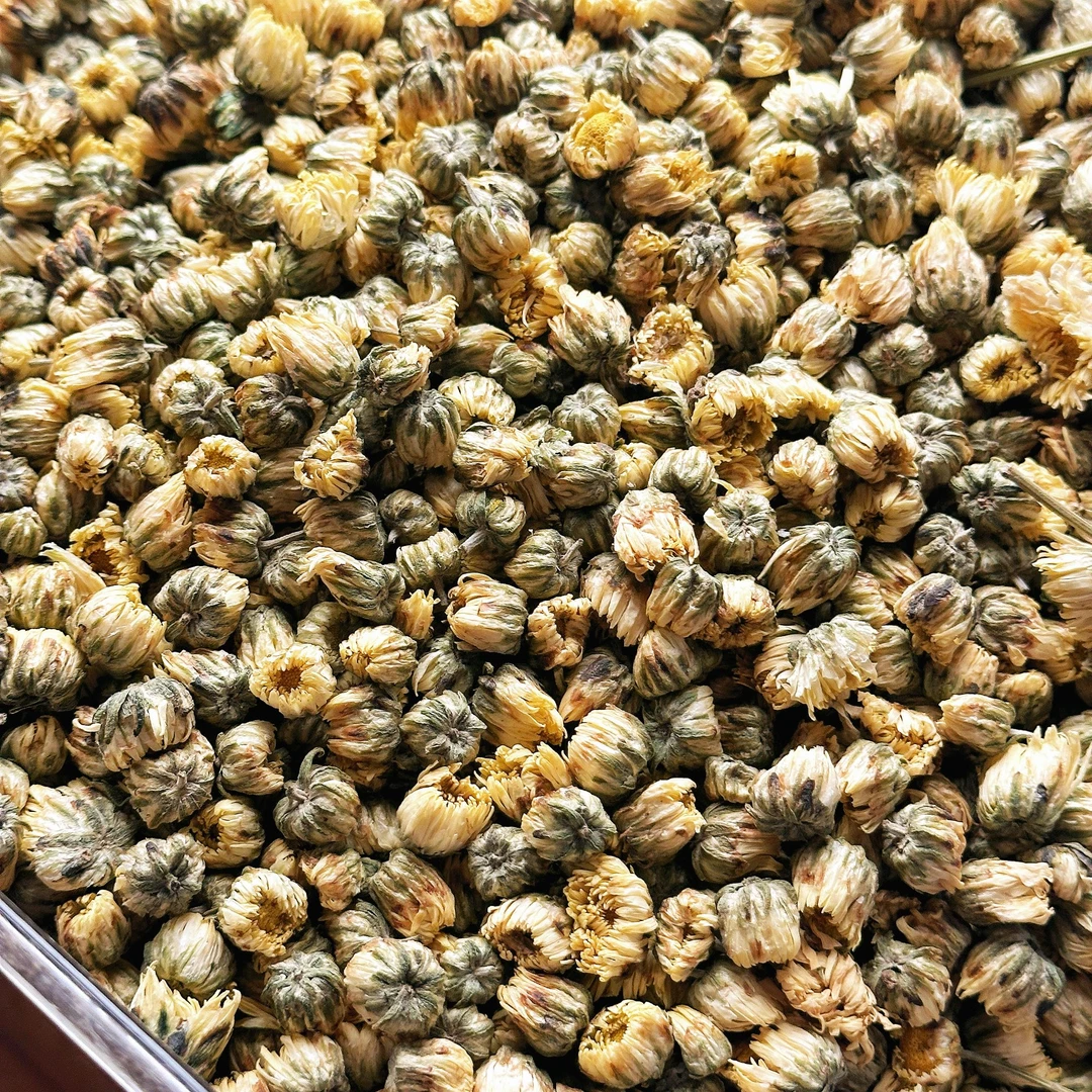 胎菊 泡水泡茶材料