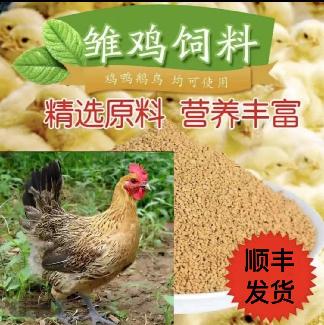 （10+2)青脚麻羽畜牧养殖营养均衡好喂养饲料到手12只