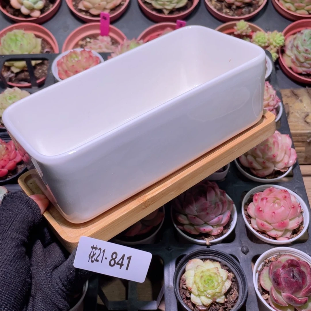 花利美21-841花盆一个