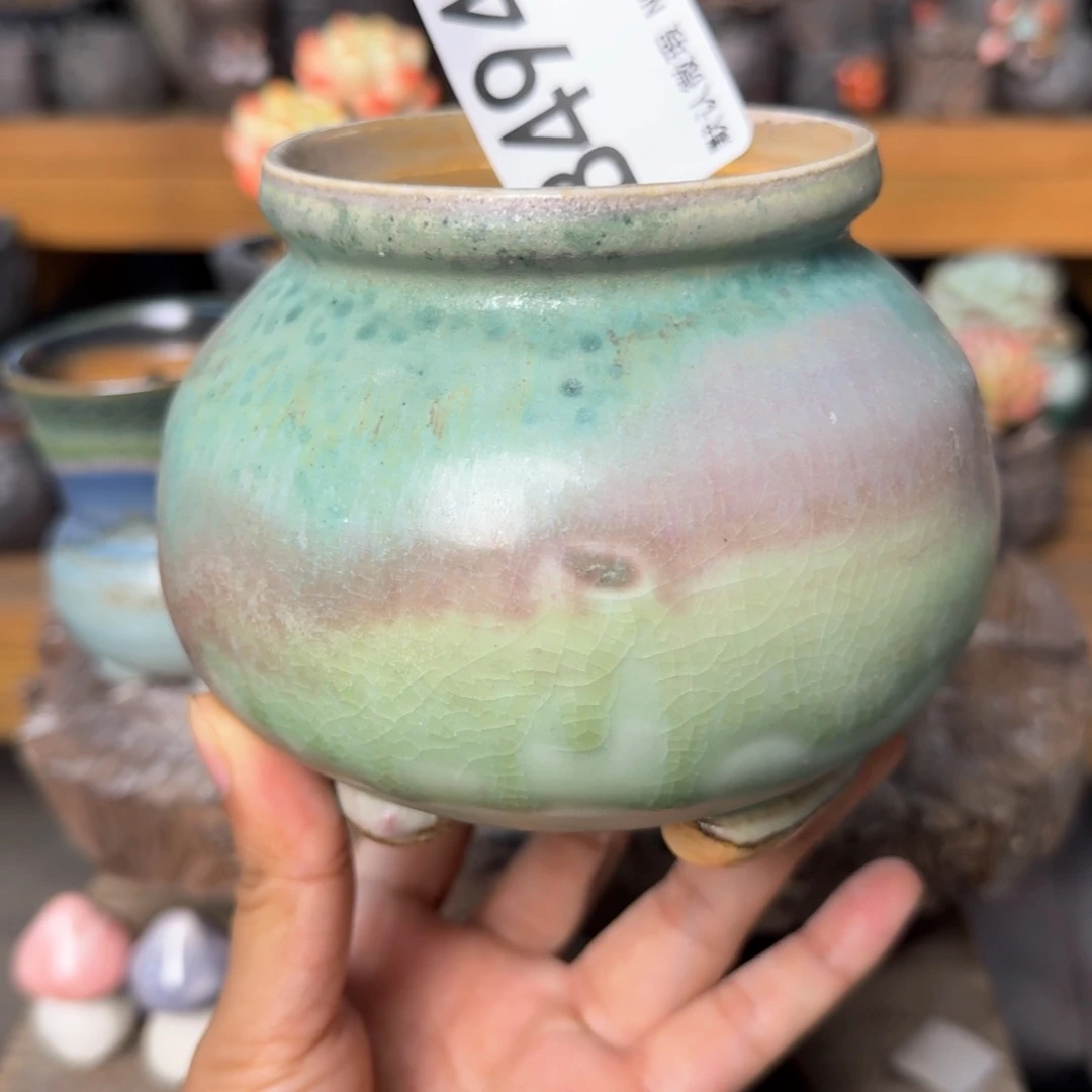 重庆小燕子欢迎大家494