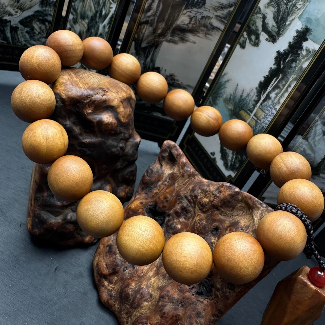 L8木作-多样性发其一《娇艺特》