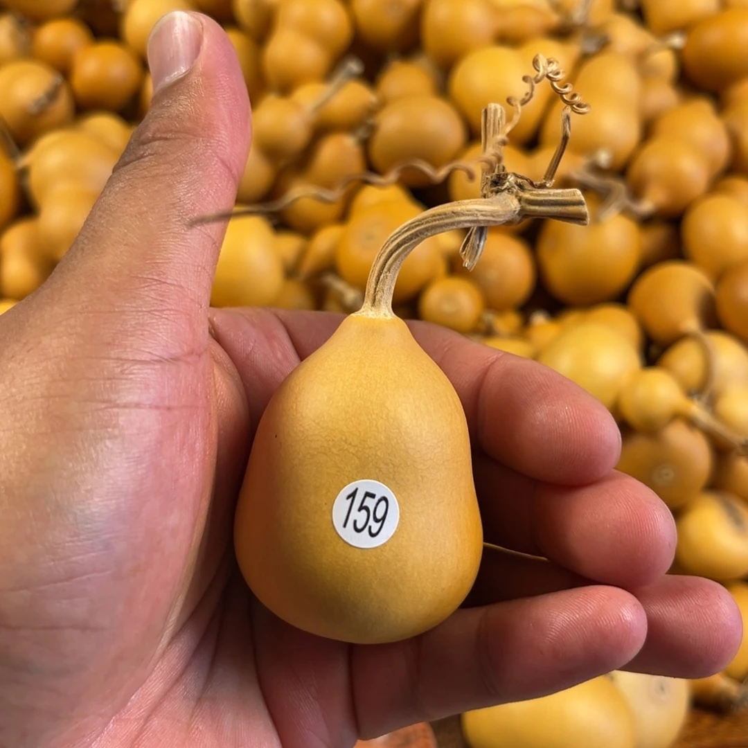 一个葫芦葫芦葫芦葫芦159