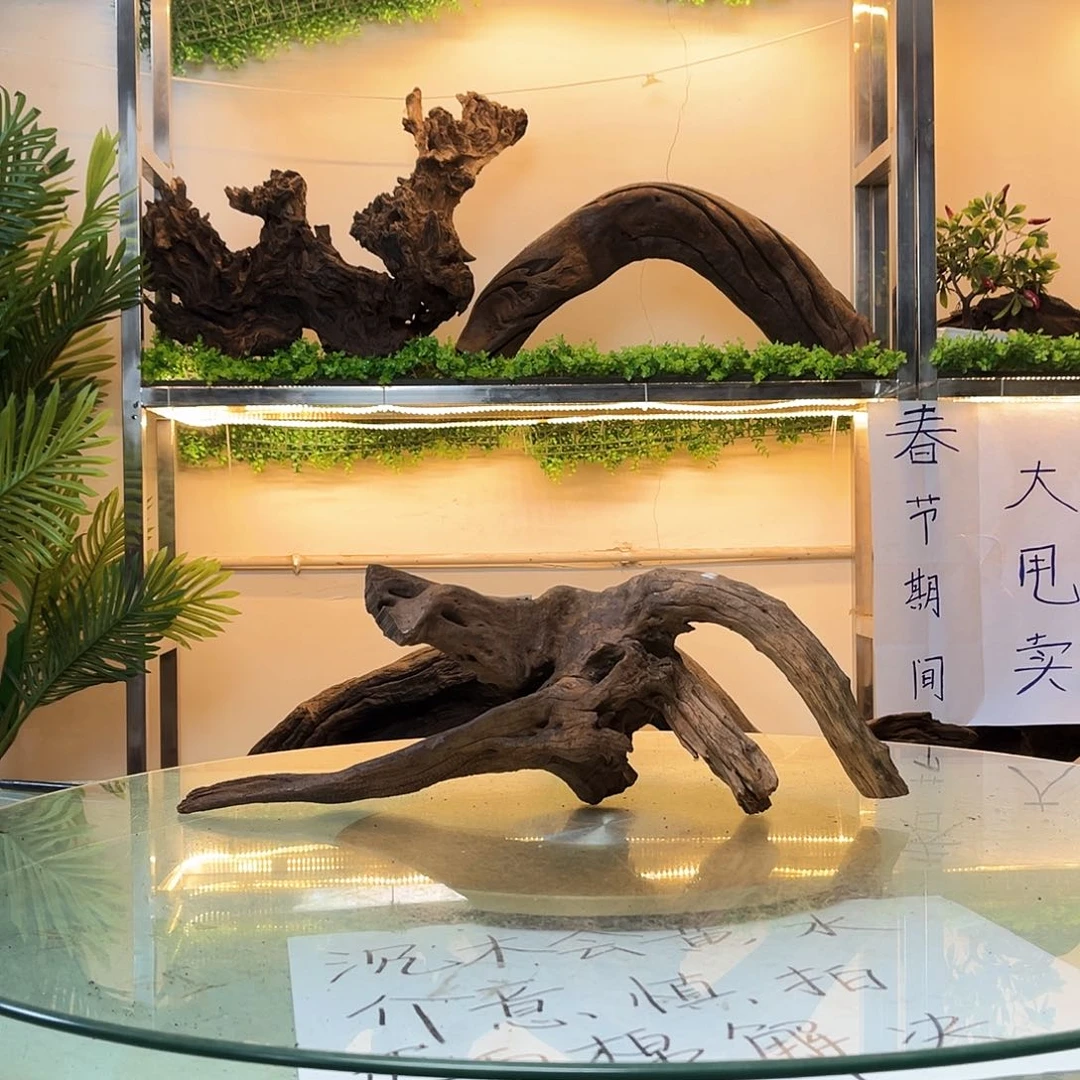 柚木王****.沉木鱼缸造景