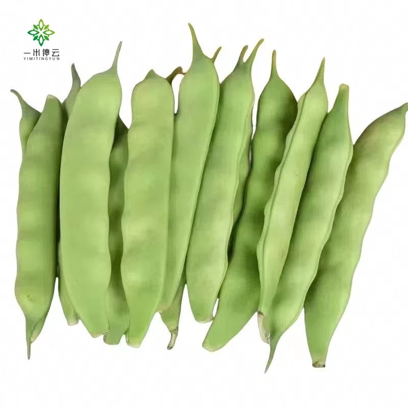 油豆角约300±5g/份（东北发绿油豆角，京津冀发一点红油豆角）