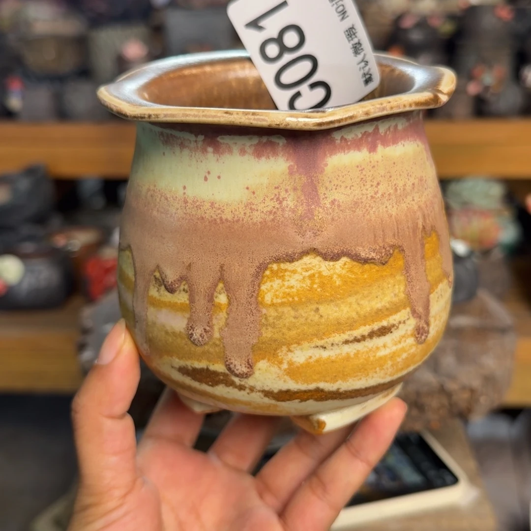 是****重庆小燕子欢迎大家081