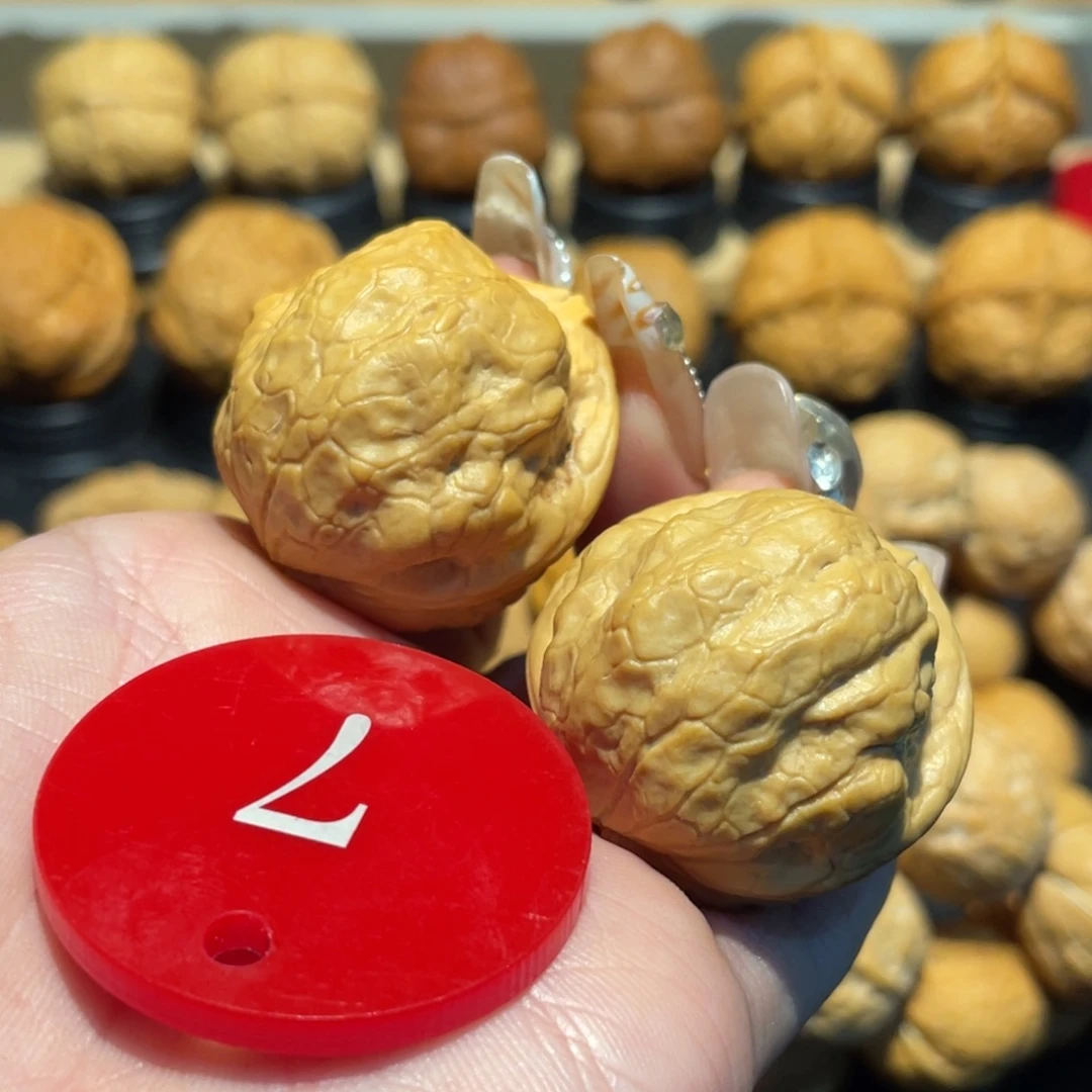 云***客铁鹦鹉核桃32（下播福利）