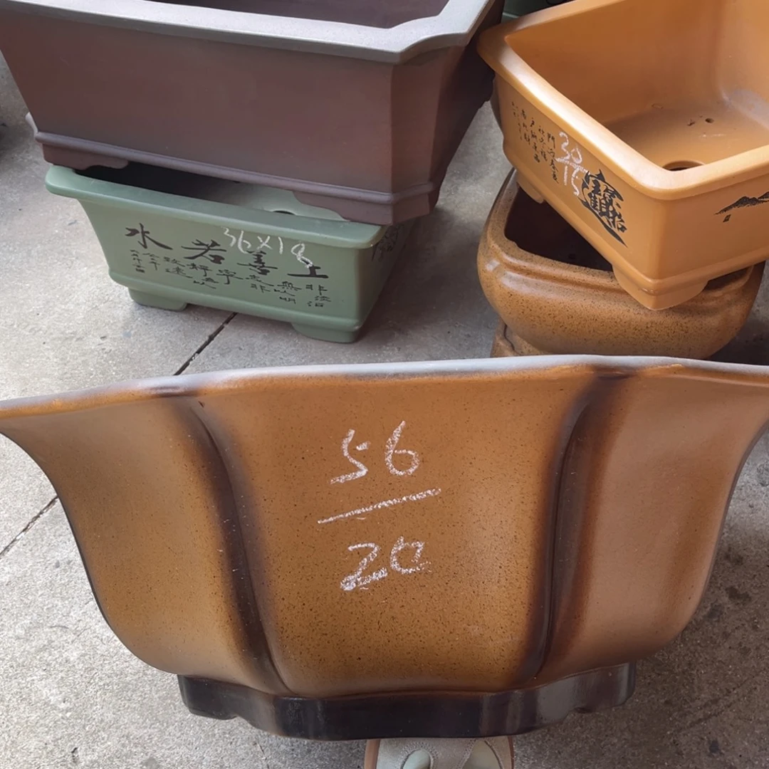 紫砂花盆盆景艺术