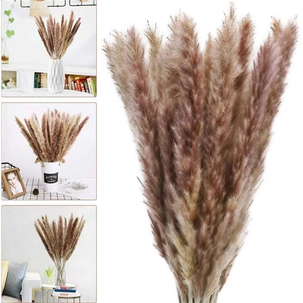 【JY-4505】干花装饰稻穗摆件