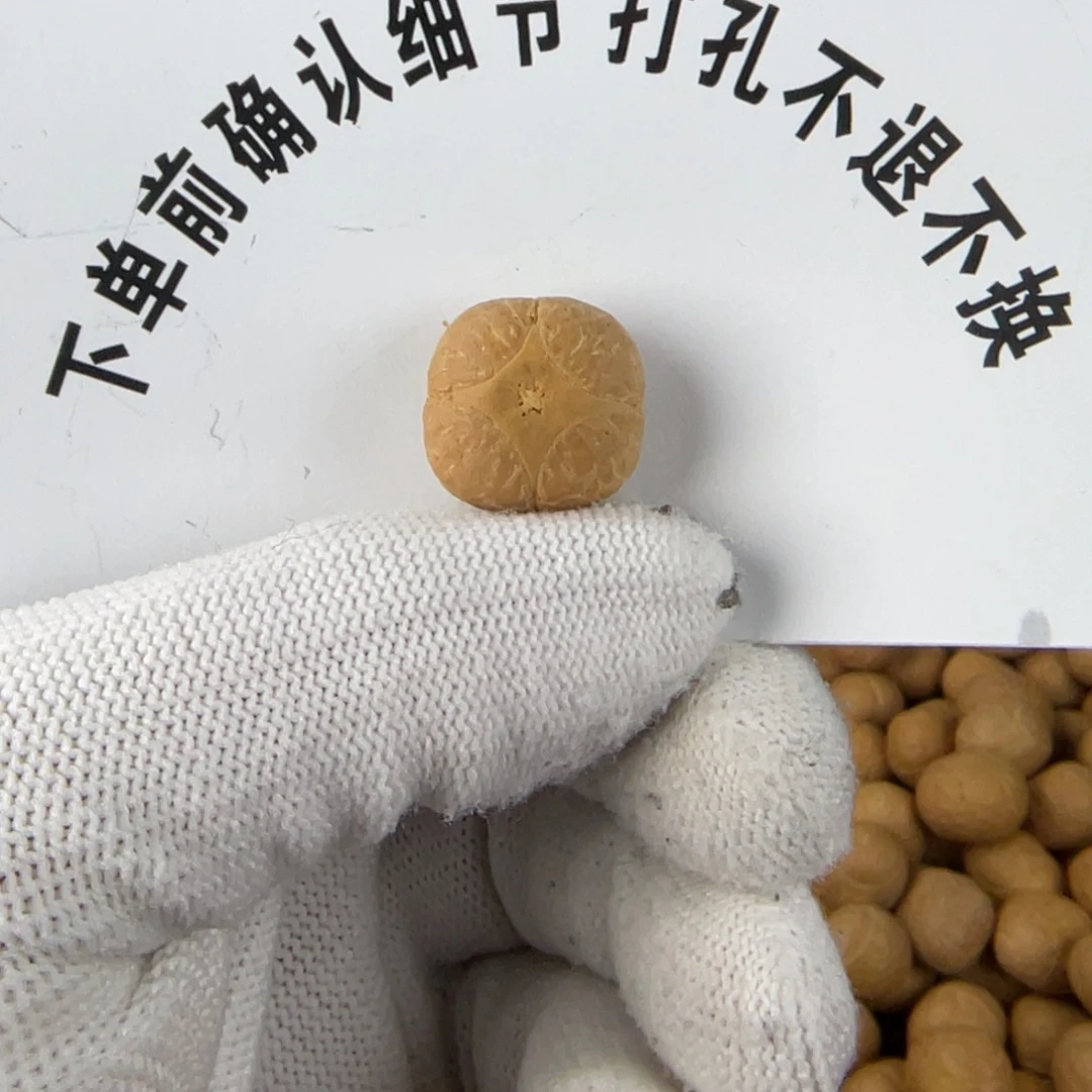 贾***禄凤眼菩提吊坠凤眼菩提麒麟眼单颗 打孔不退不换