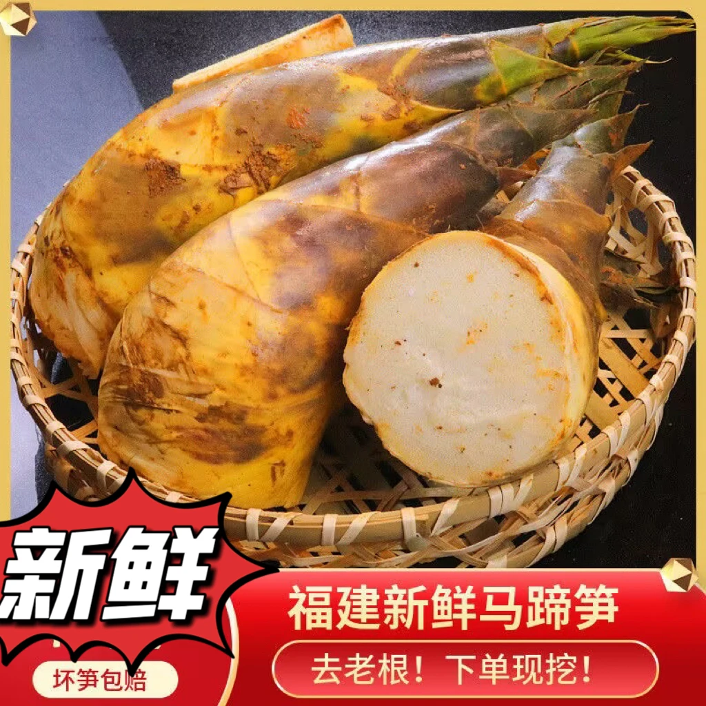 特大笋福建漳浦当天现挖新鲜绿竹笋马蹄笋绿笋带壳脆嫩去老根新鲜