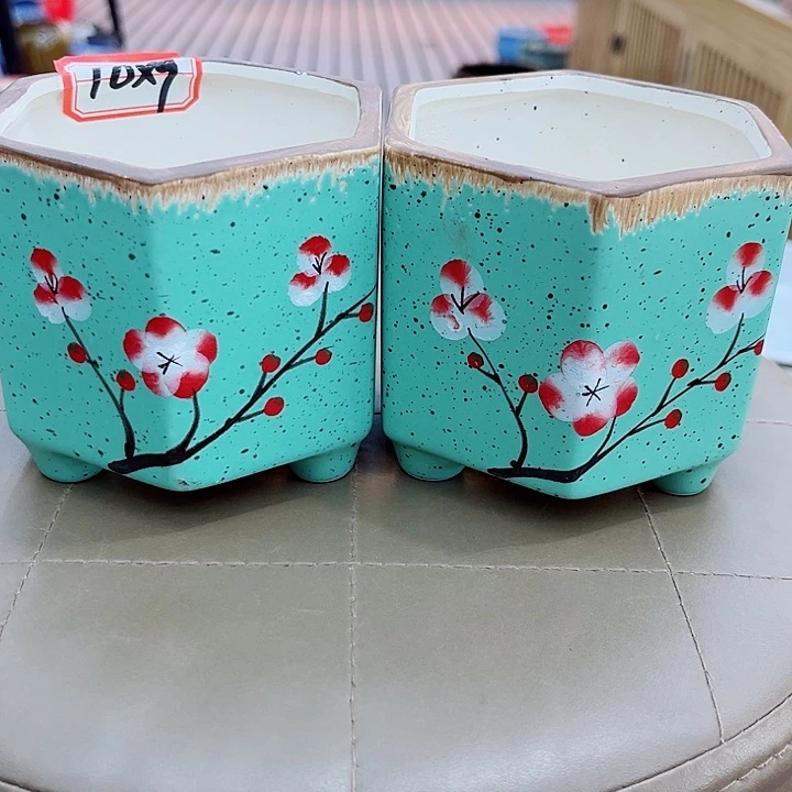 多肉植物陶瓷花盆