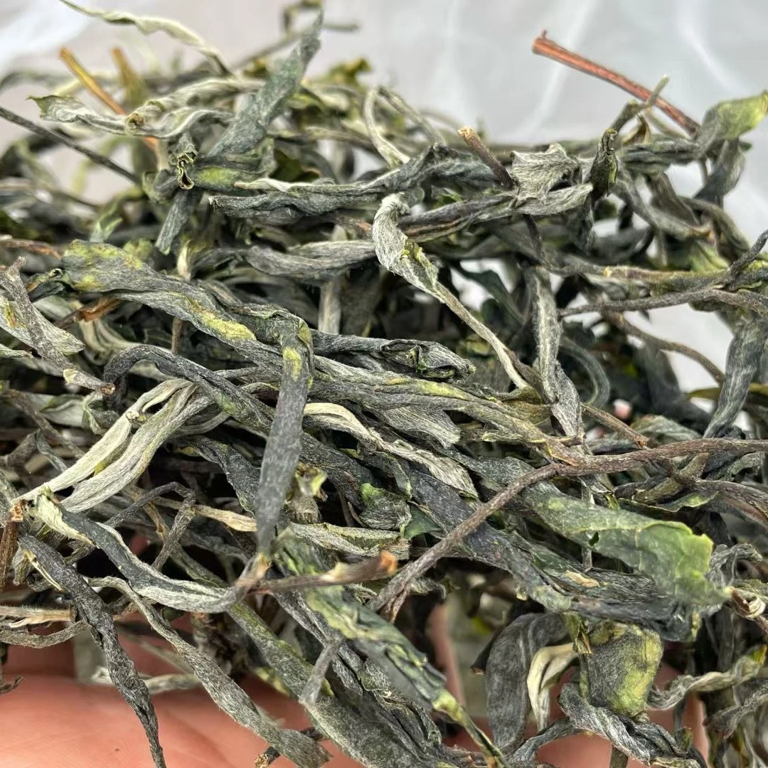 2025黑大叶种古树普洱源头茶叶好货