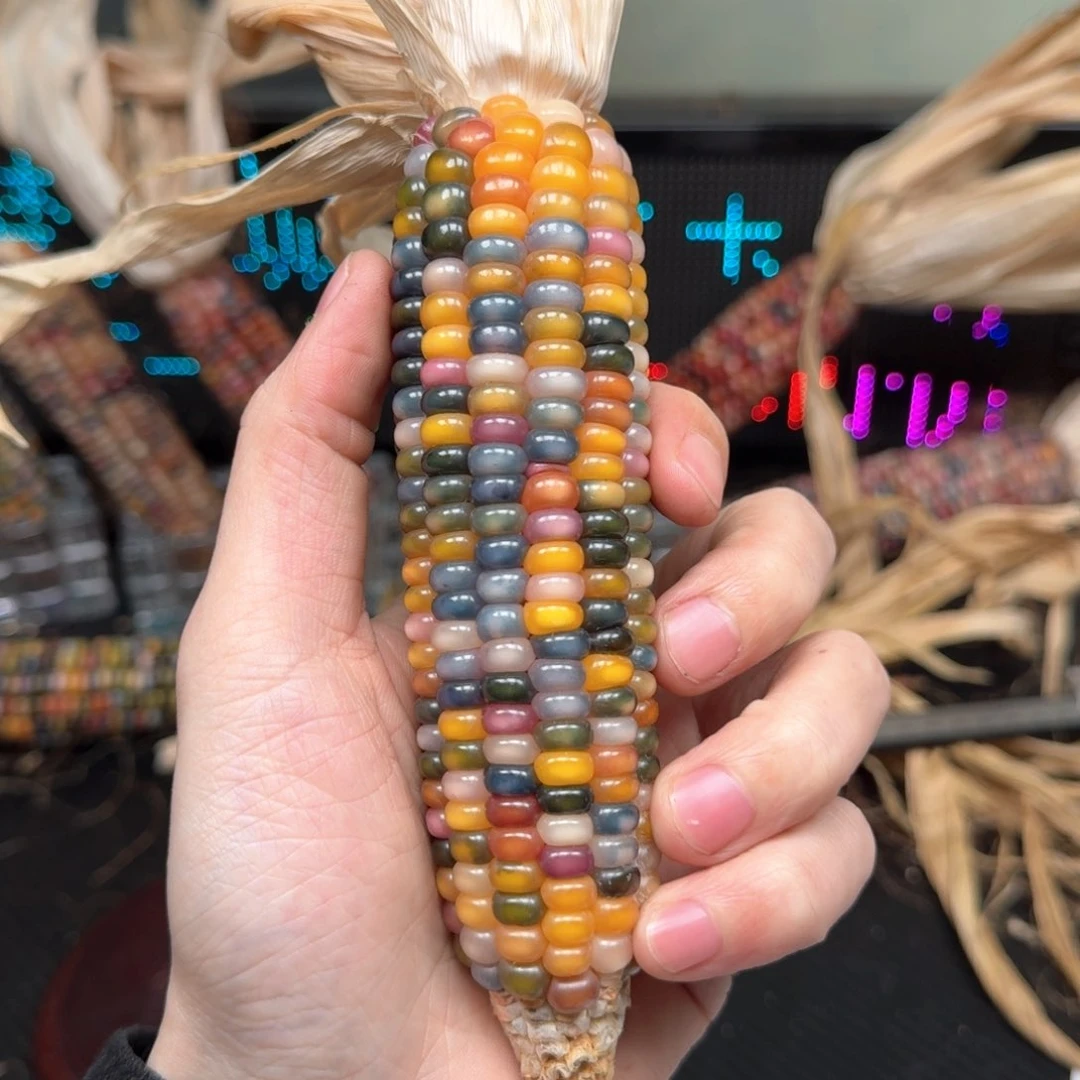 柏香籽/百香籽吊坠壹**景