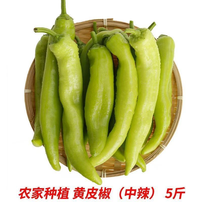 新鲜现摘黄皮辣椒特辣中辣微辣混装清脆可口正宗农家风味