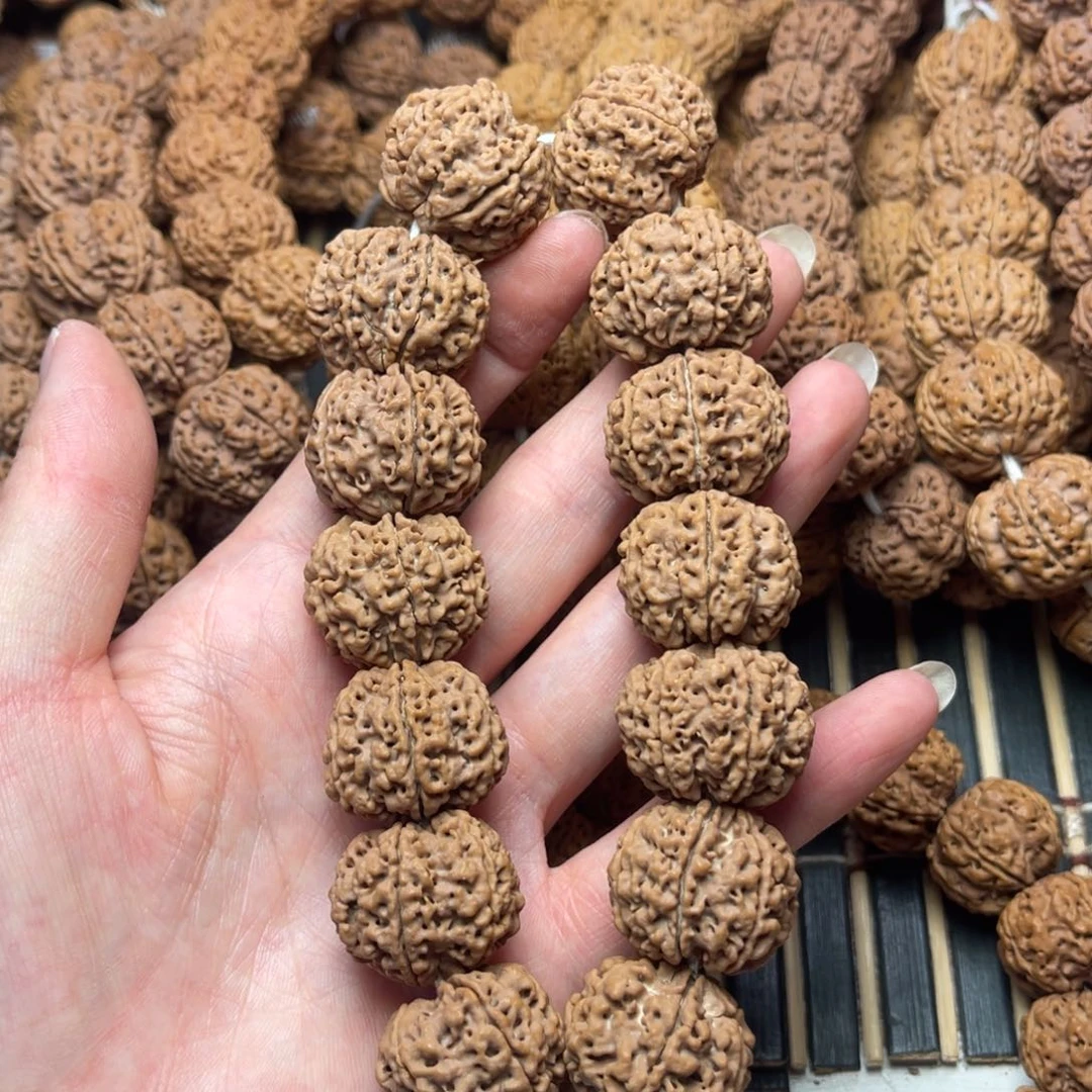 菩提9号金刚菩提原生态六瓣24