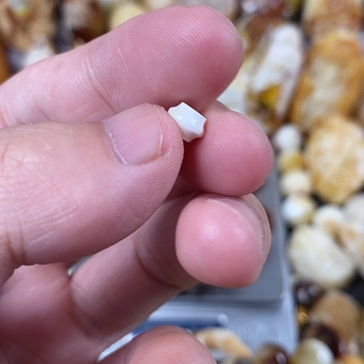 裸石琥珀未镶嵌我