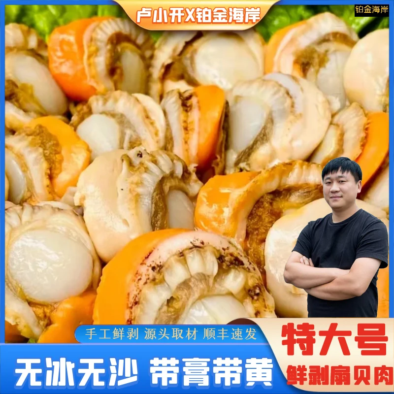 【铂金海岸】2040特大号新鲜扇贝肉栉孔贝红贝新鲜海鲜顺丰包邮4斤