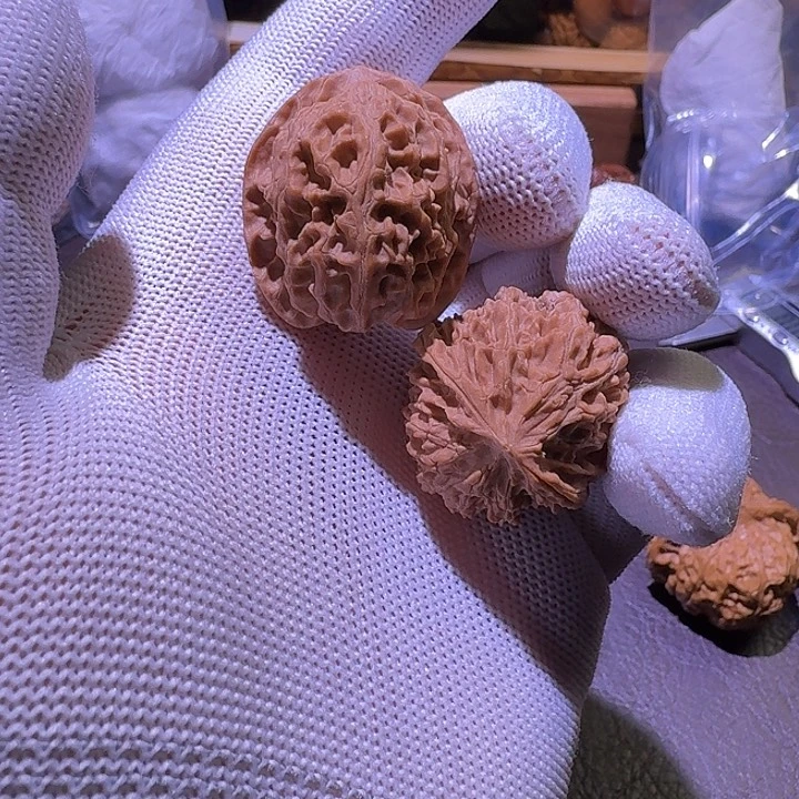 核桃文玩核桃苹果园狮子头1号