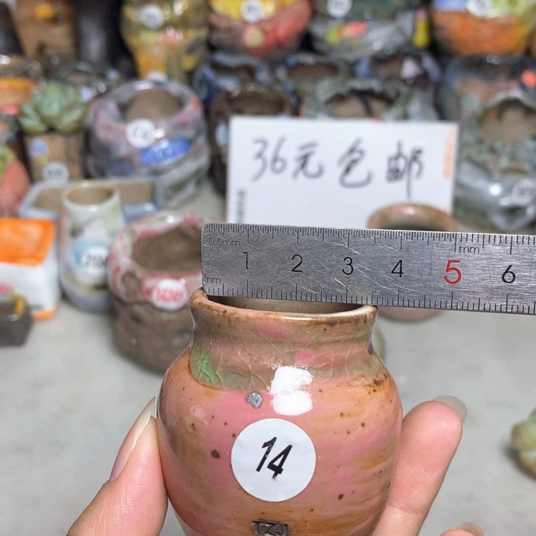 拍5送一个小礼物