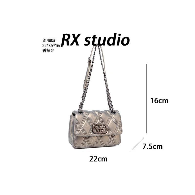 【南沙瑞熙】QYX-81480-香槟金-轻奢小众设计感时尚百搭女士包