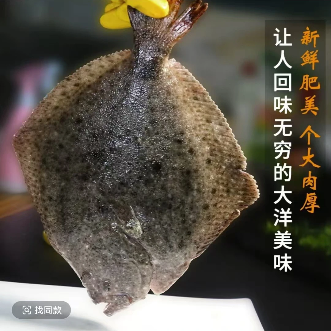 多宝鱼【野生海鲜】