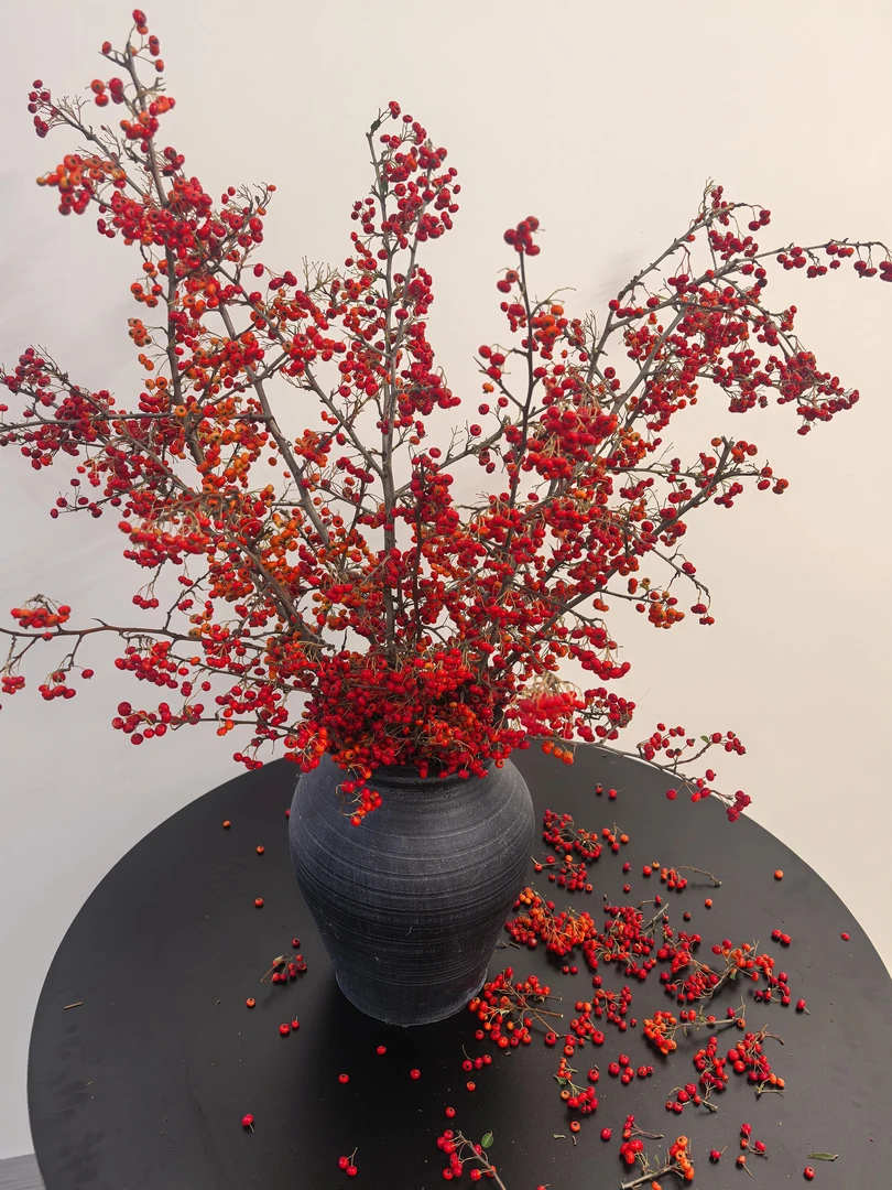 状元红火棘果山货鲜切枝喜庆氛围家居花期长产地直发