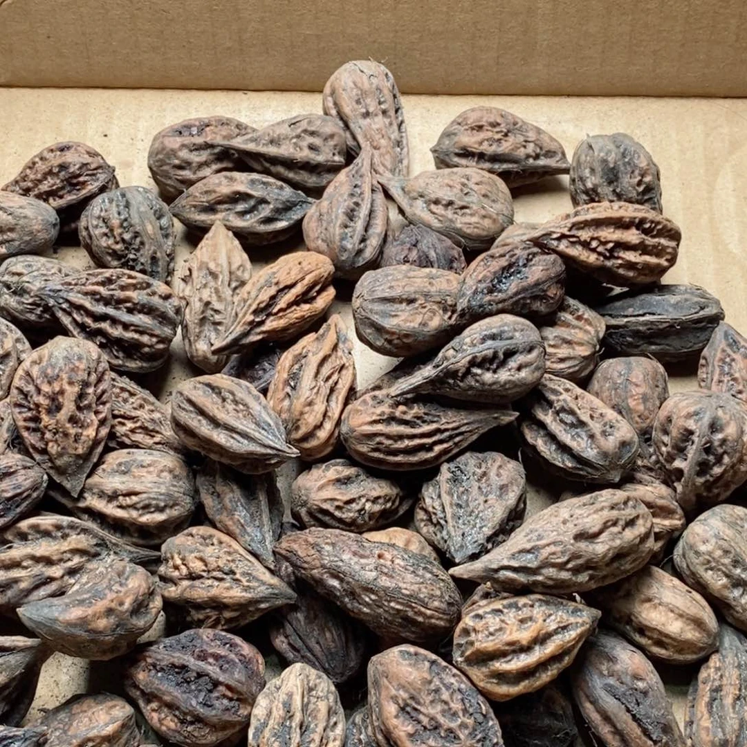文玩核桃吊坠求*?核桃88