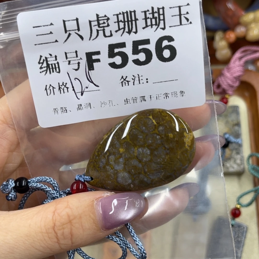 夏***8未镶嵌h硅化珊瑚（珊瑚玉）