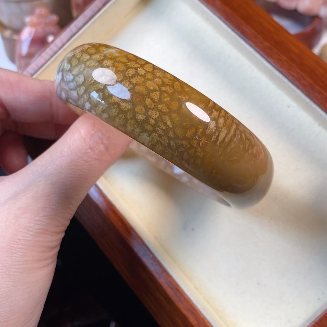 硅化珊瑚（珊瑚玉）未镶嵌手镯60.9口福利200