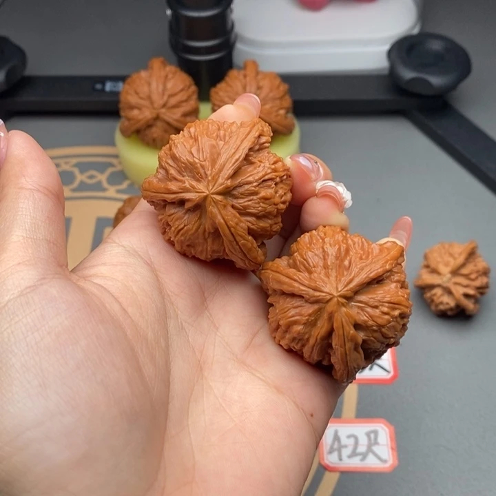 把件文玩核桃倾*42白狮子三棱