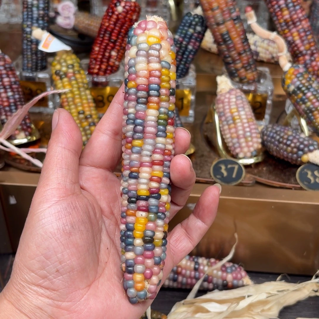 柏香籽/百香籽吊坠大**子