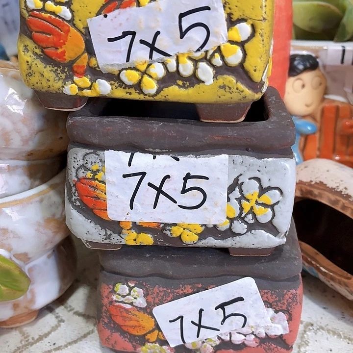 多肉花盆满15包邮