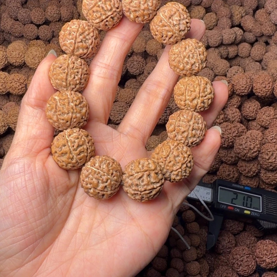 金刚菩提手串8瓣卡20尺，100号