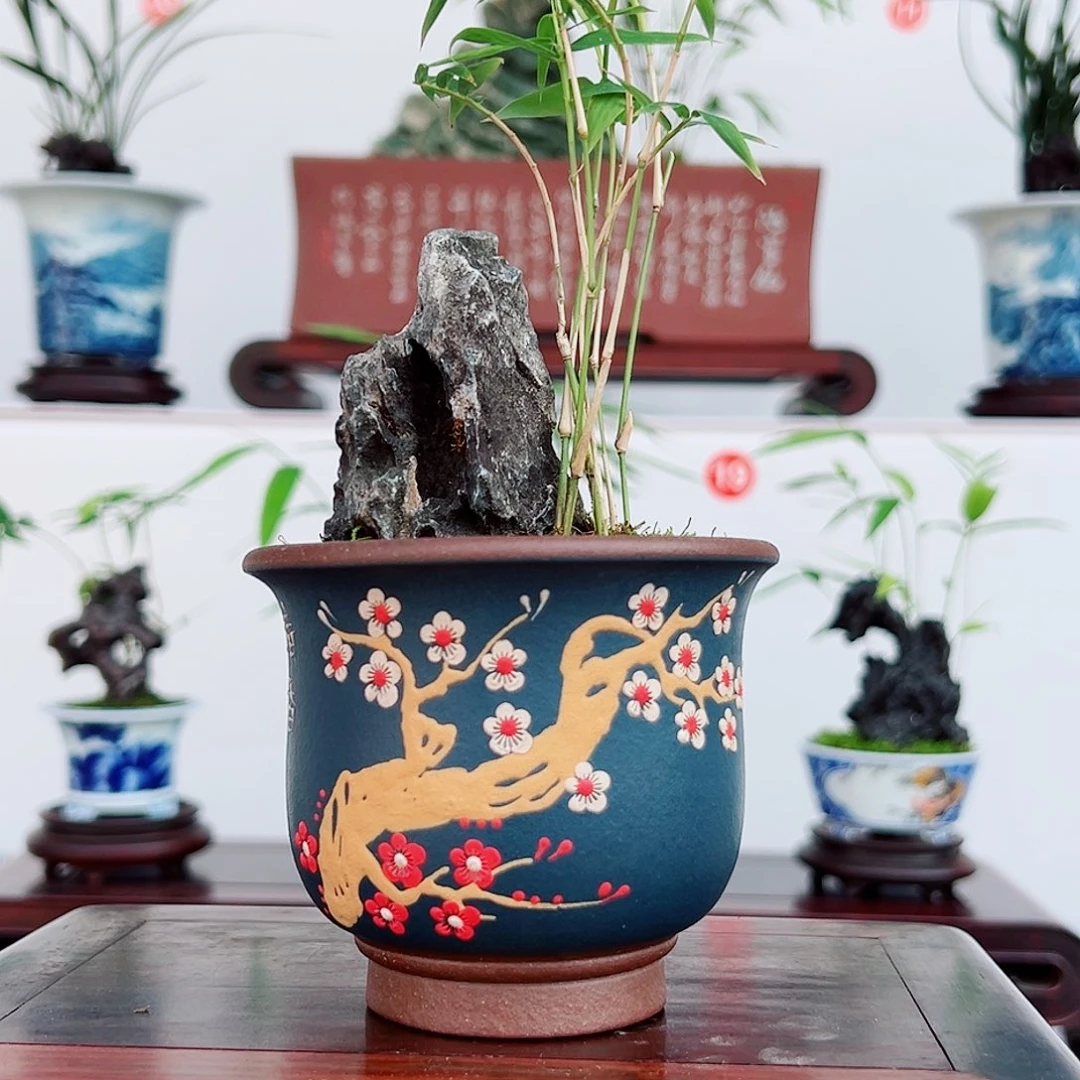 无花朵盆景，凤尾竹，英石，