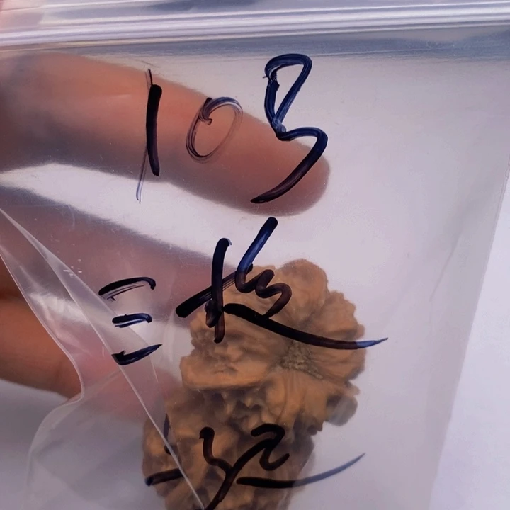 吊坠文玩核桃三棱