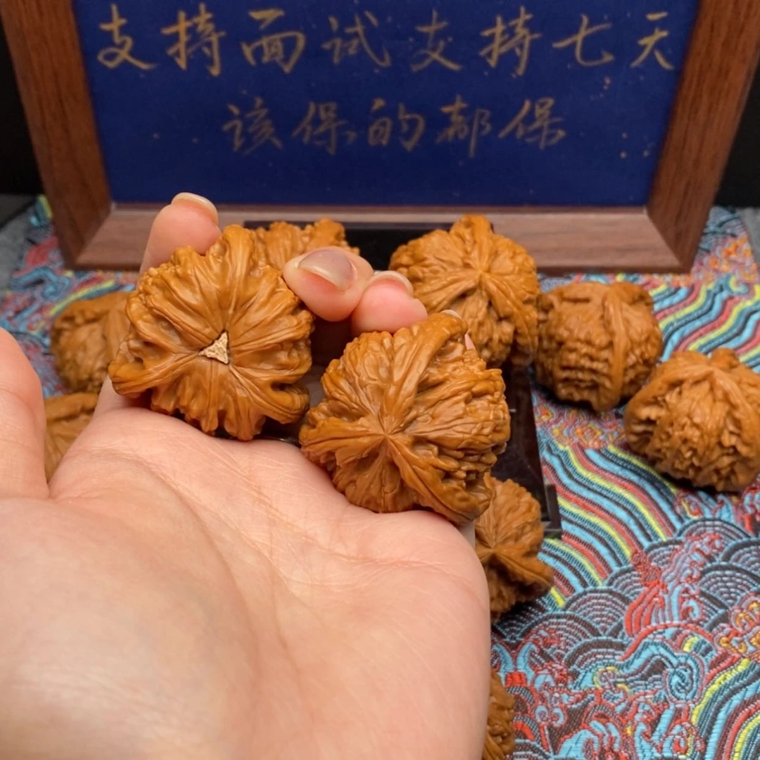 【闪购商品】小*白狮